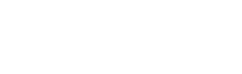 FOSinfo ai